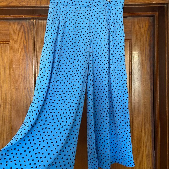 Zara Blue Polka Dot Culotte Pants (Size L) - Picture 1 of 5